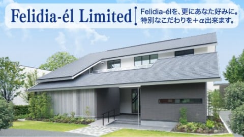 Felidia-el Limited